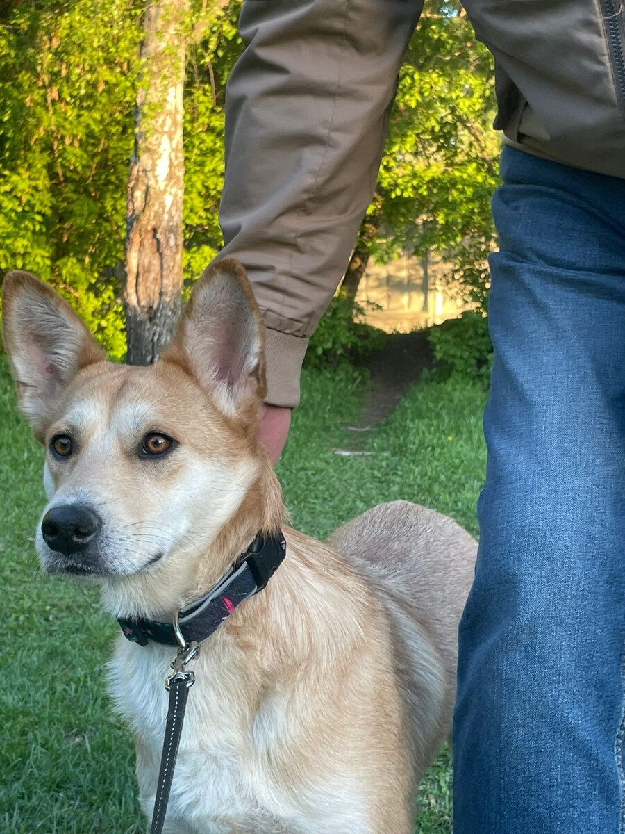 Вот наша золотая