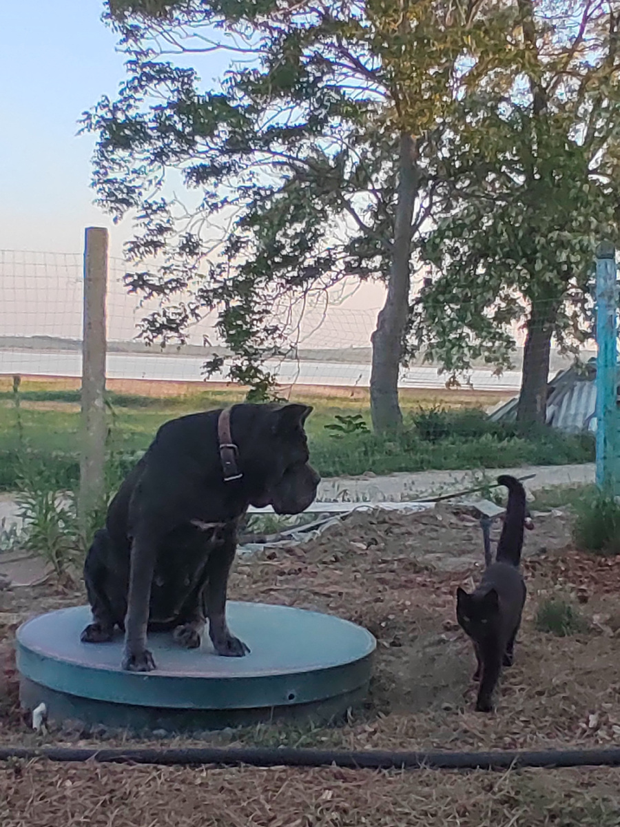 Проверка идет к вам!