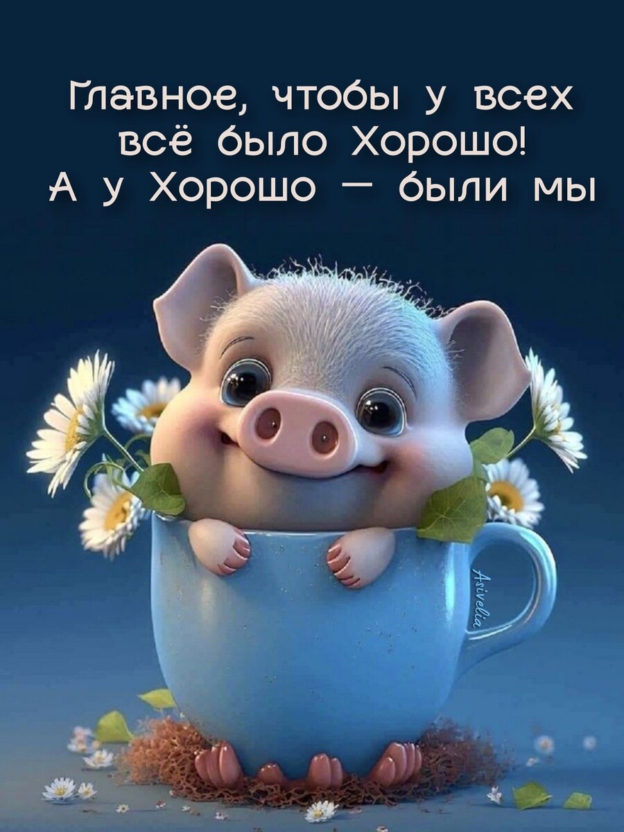 Фото из открытого источника в интернете.