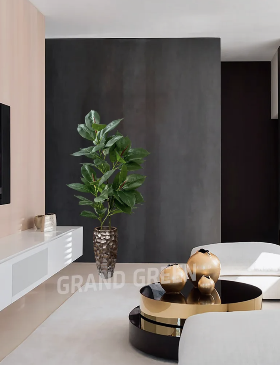 Фикус декоративный — 367003555