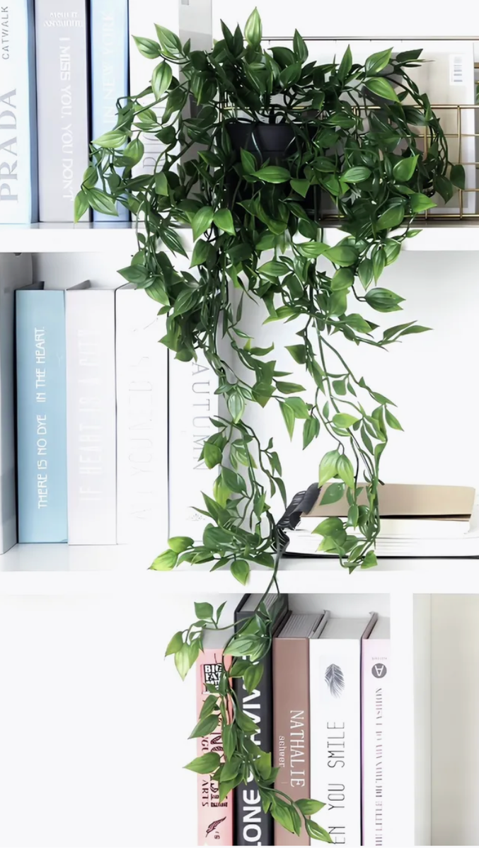 Лиана искусственная — 277980710