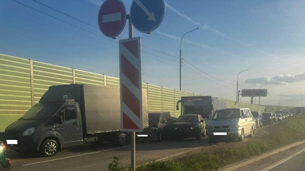    Фото: пресс-служба МВД РФ по Московской области