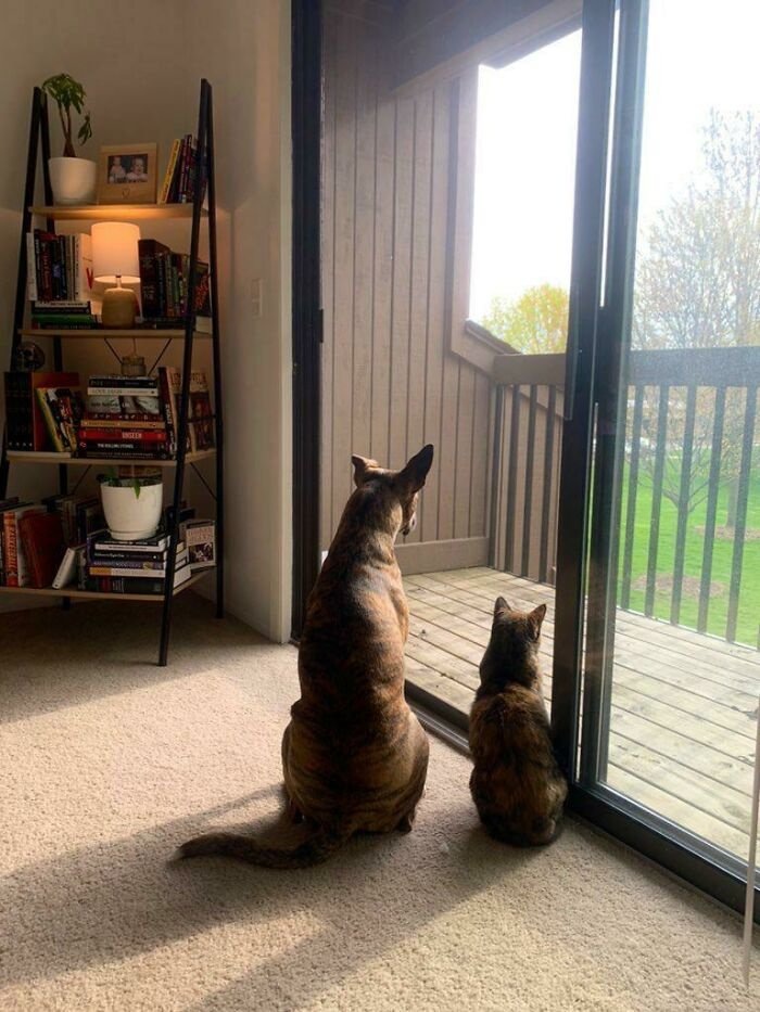    Даже смотрят в одну точку...