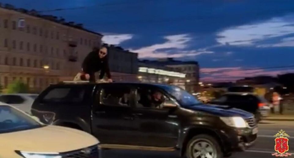    Telegram-канал «Петербургская полиция»