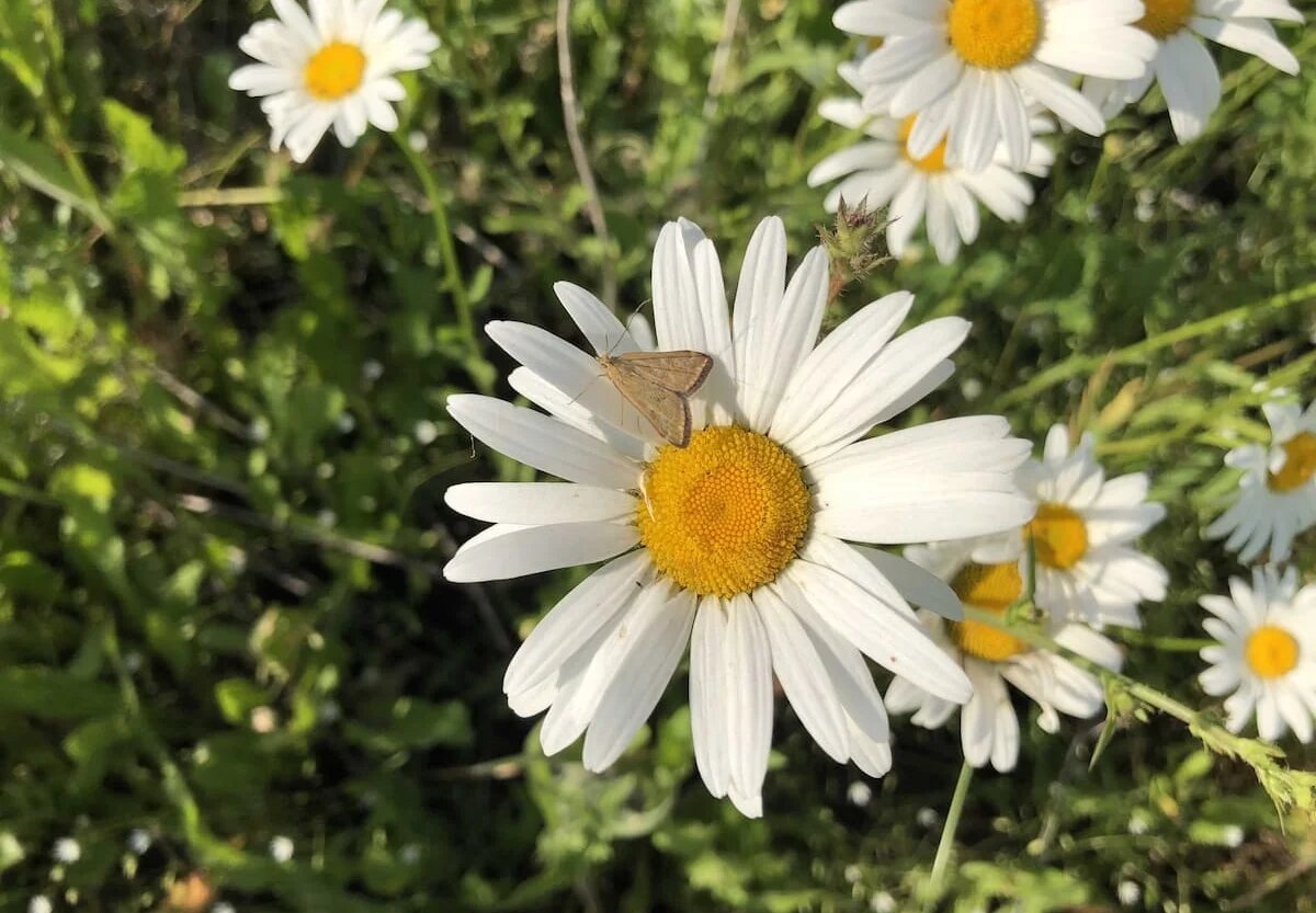 Фото: UfacityNews.ru