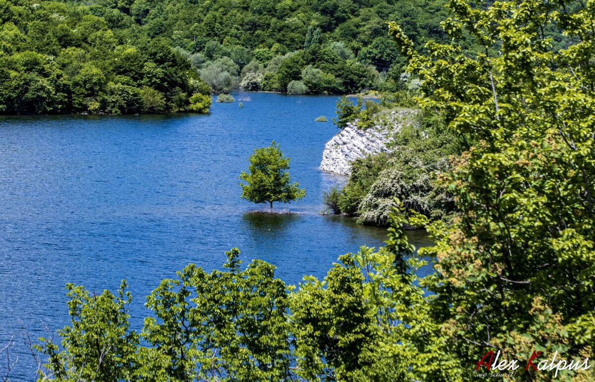Живописные берега Алгети, окружённые горами и лесами, предлагают уникальные возможности для рыбалки, пеших прогулок. Грузия