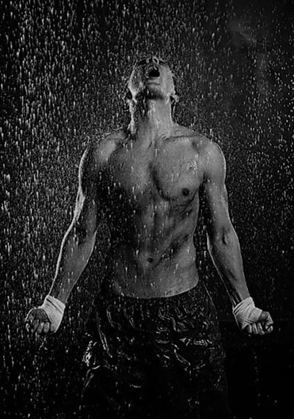 Картинка из свободного доступа на Яндексе.