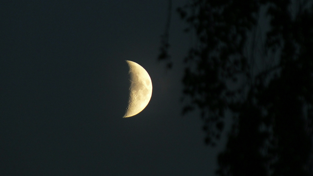    Victor Lisitsyn/Globallookpress