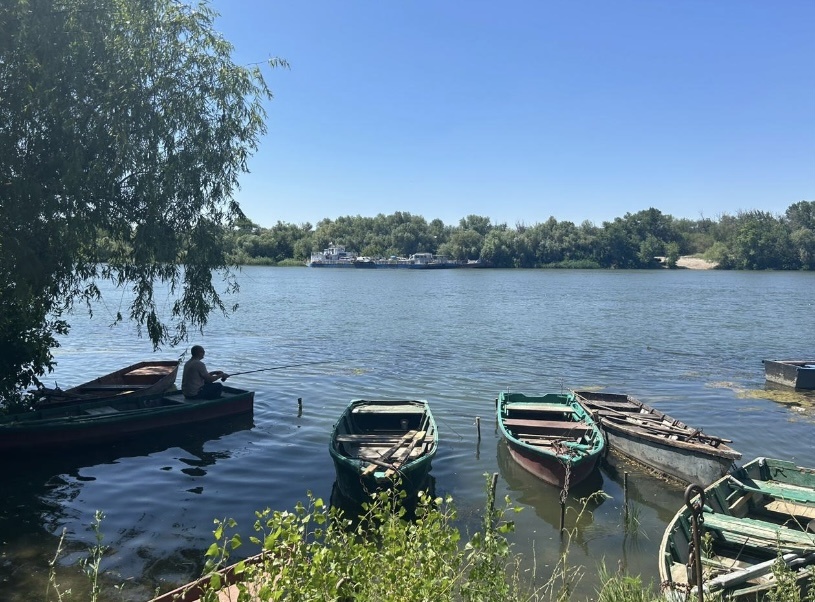    Фото: "Веселовские вести" Веселовские вести