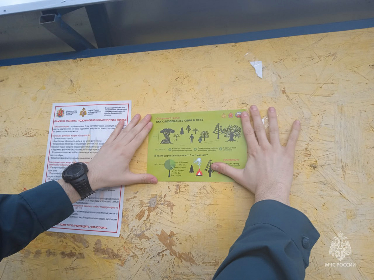 Фото ГУ МЧС России по Владимирской области.