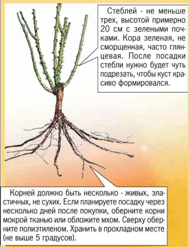 Важно учесть при посадке