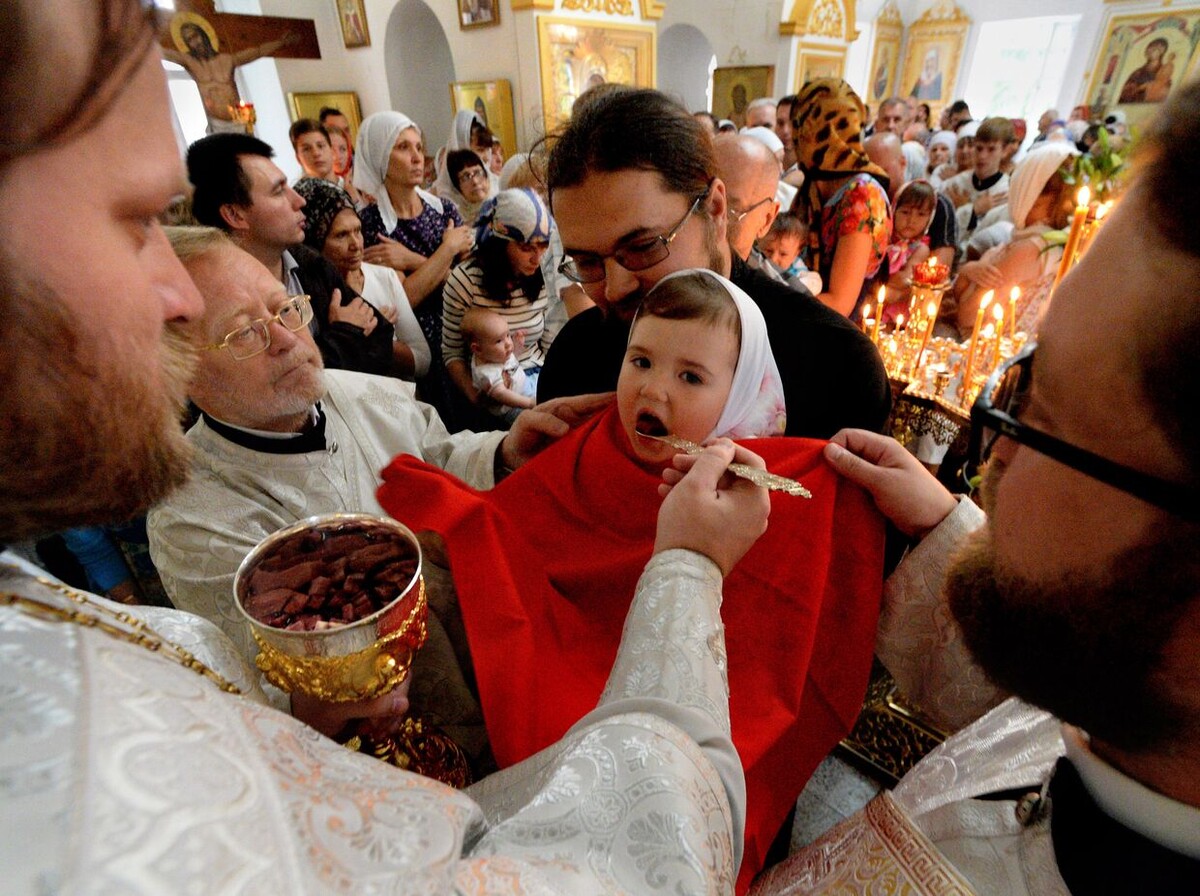 Фото: Яндекс Картинки