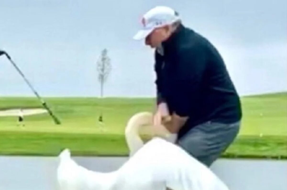    Трамп опубликовал фото с Уиткоффом, которого кусает лебедь