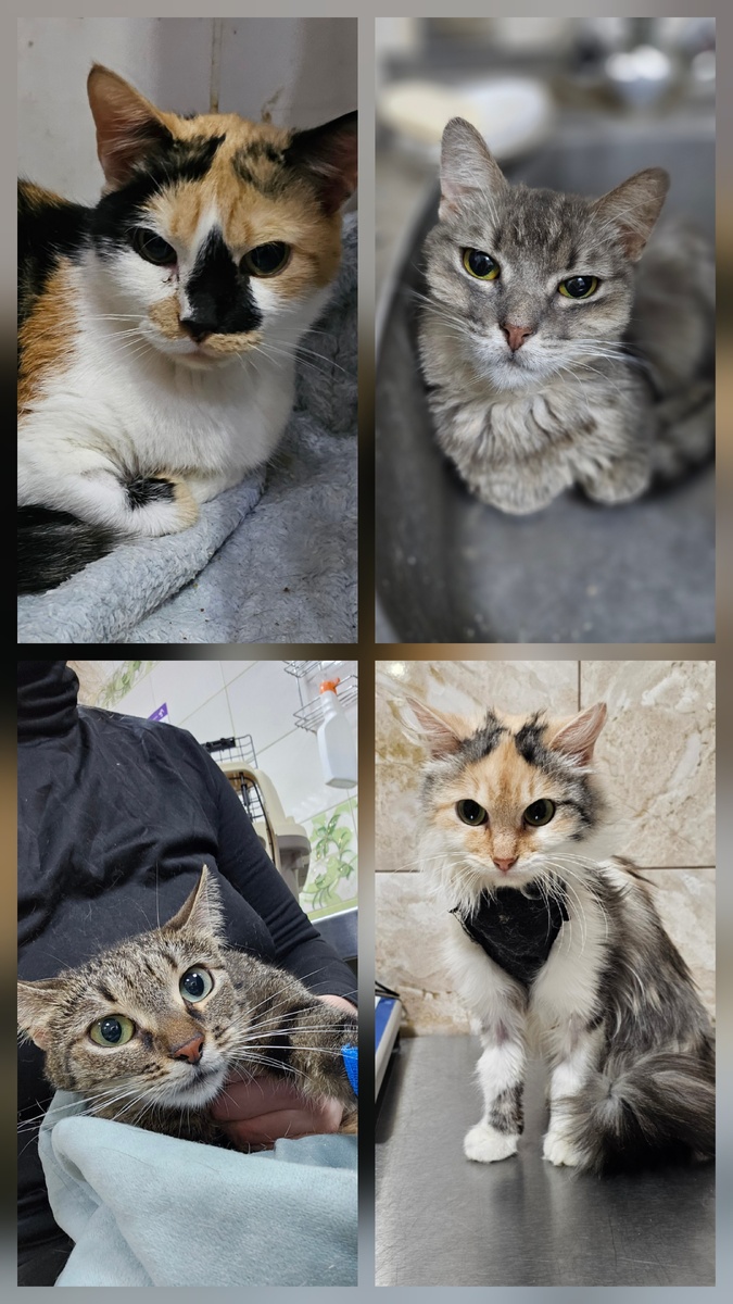 Фото автора. Ребята заболевшие фипом.