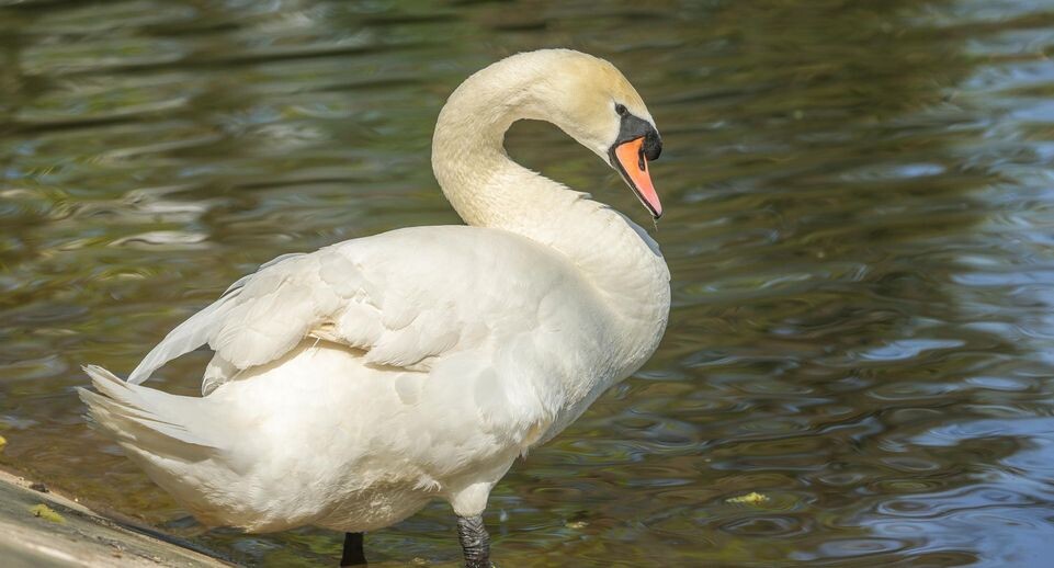    Shatokhina Natalia/news.ru / www.globallookpress.com