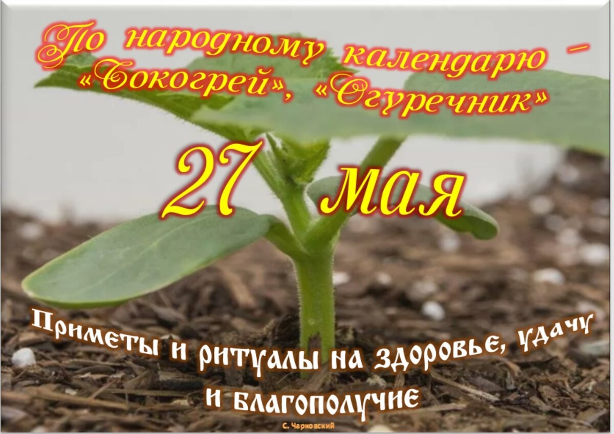 Встречаем новый день