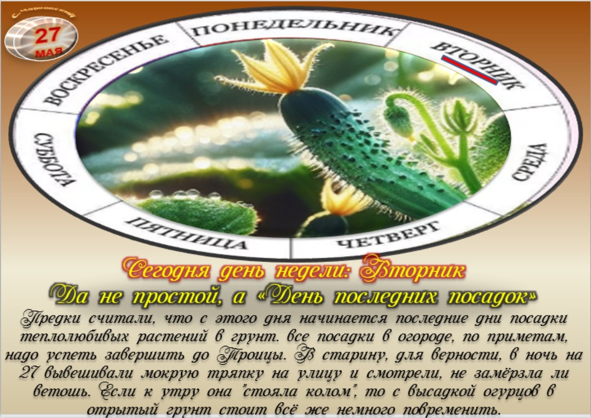 Встречаем новый день