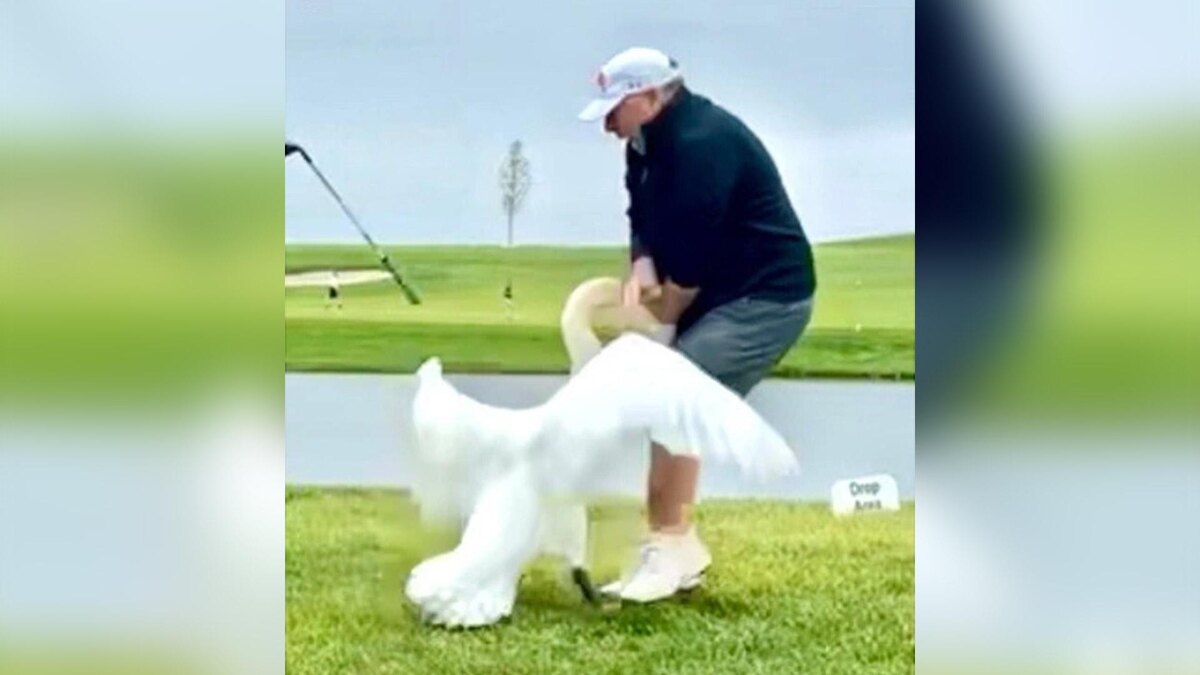    Фото: @realDonaldTrump / Truth Social