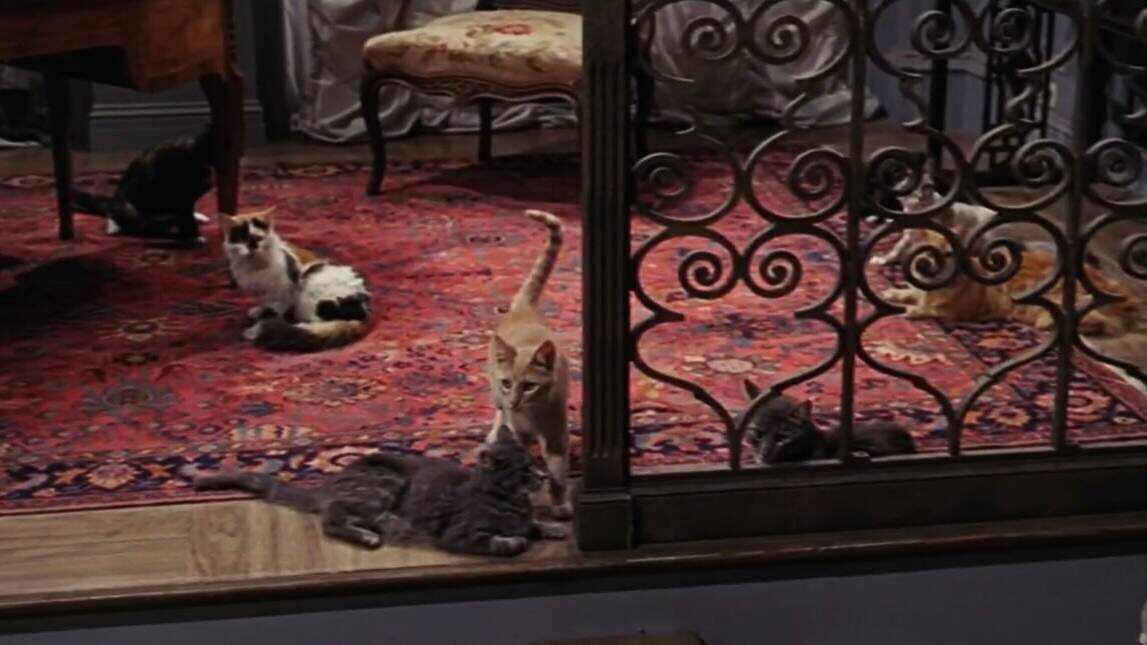 Кадр из фильма Eye of the Cat / Глаз кота (1969)