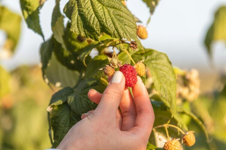    Фото: Christian Wiediger on Unsplash