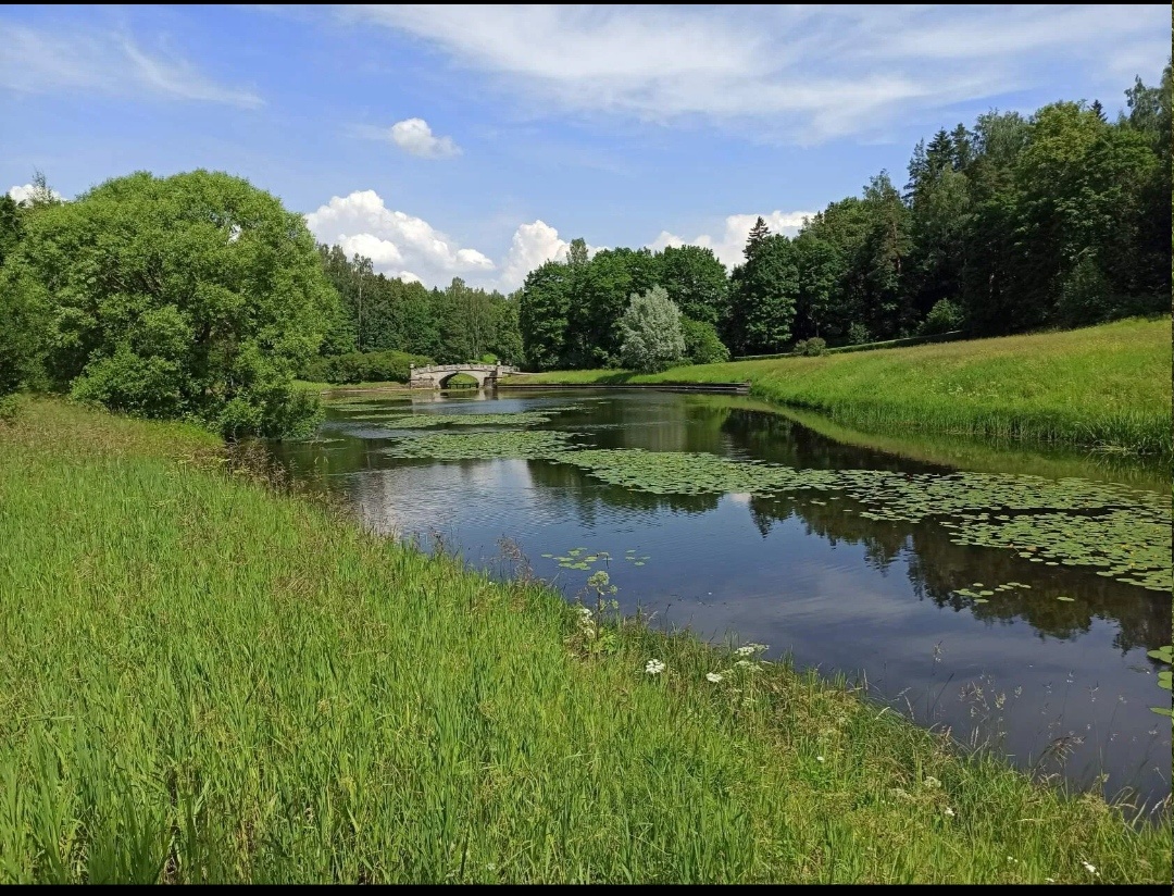 Личное фото. 