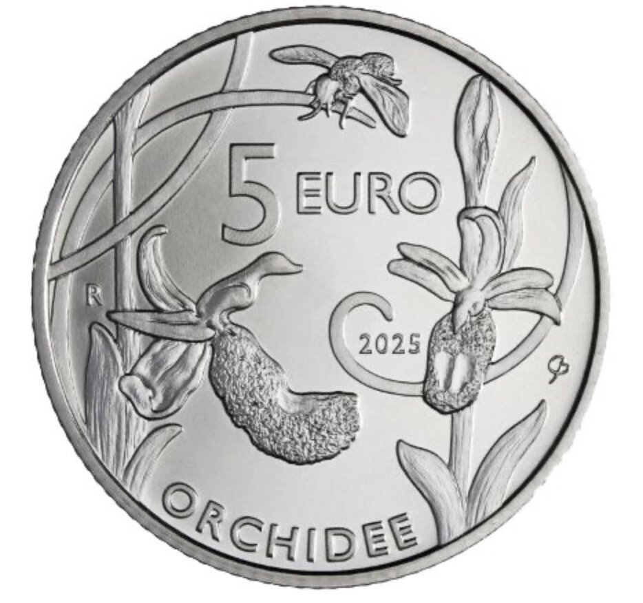 фото из сети Интернет