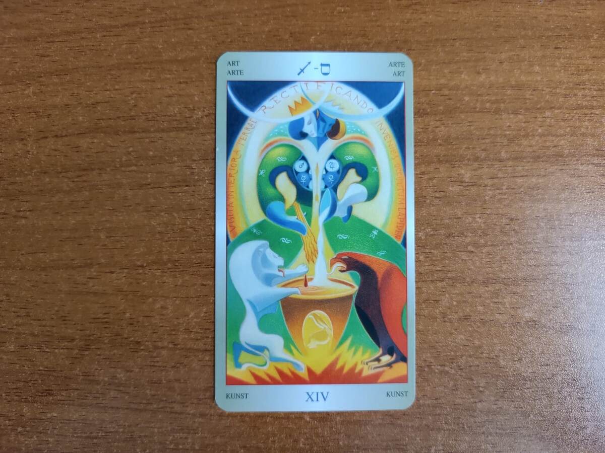 XIV Искусство