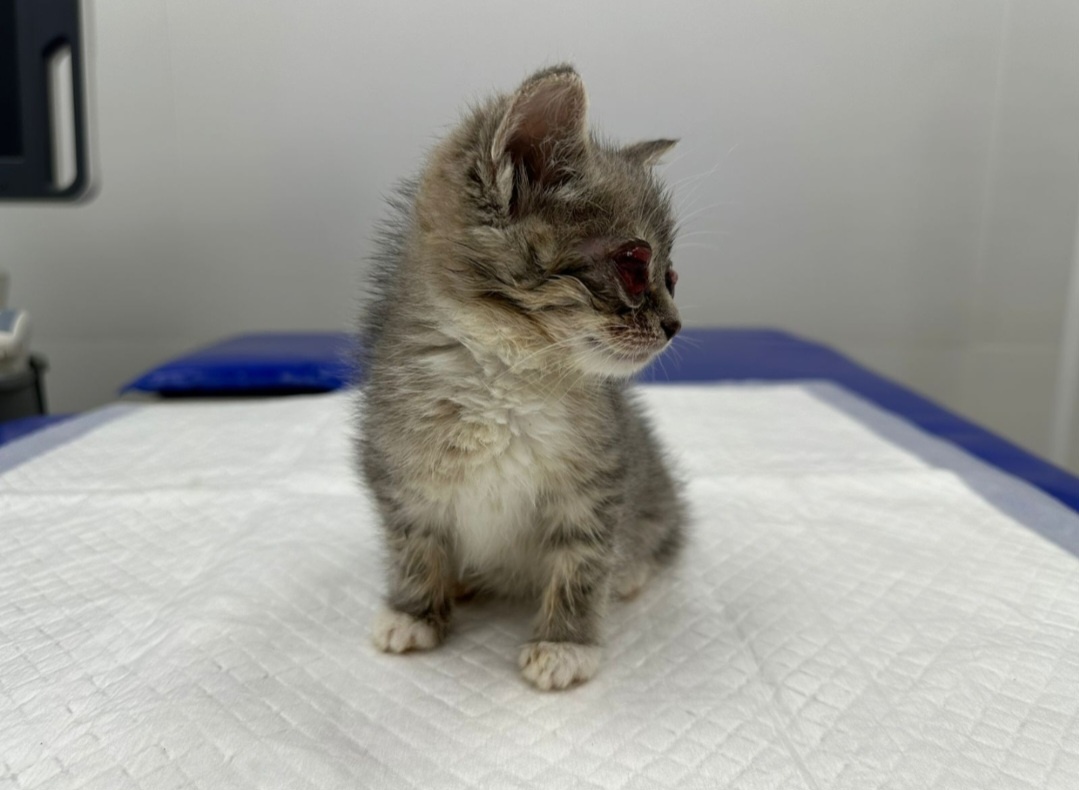 Самое безобидное фото из прошлого...