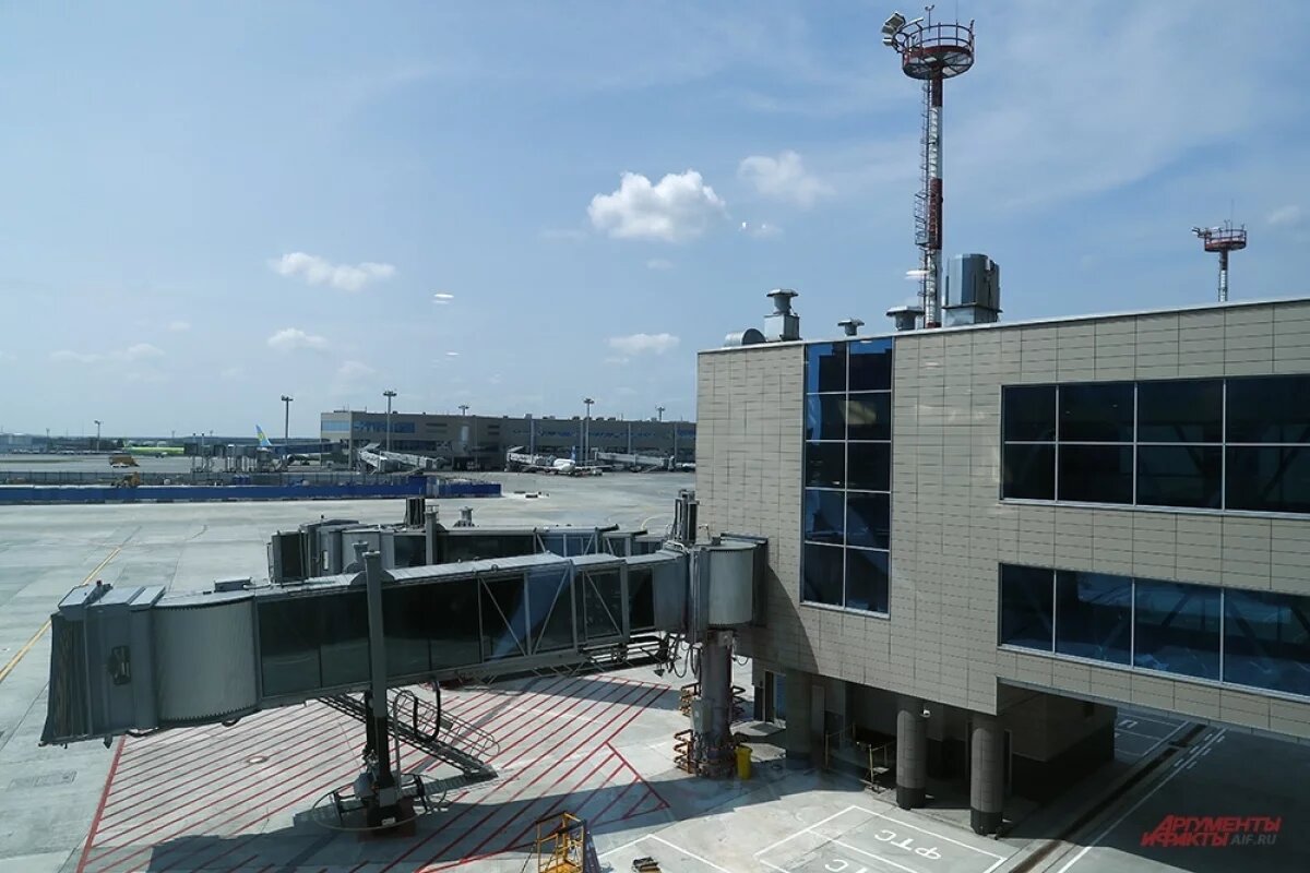    В Домодедово и Жуковском вводили ограничения на приём и выпуск самолётов