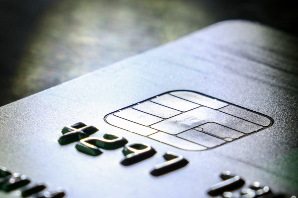    Фото: Aleksander Polyakov/Globallookpress