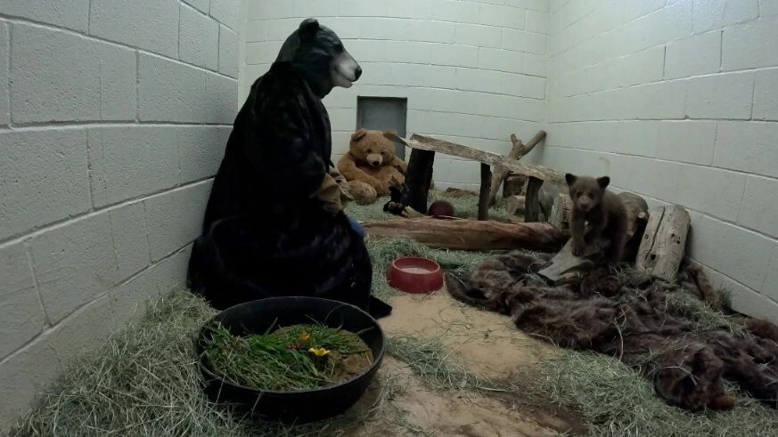    Фото: San Diego Humane Society