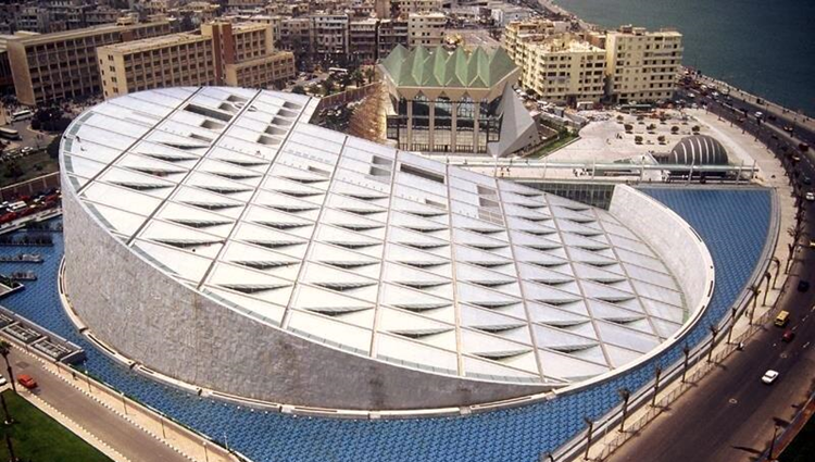 Библиотека Александрина 