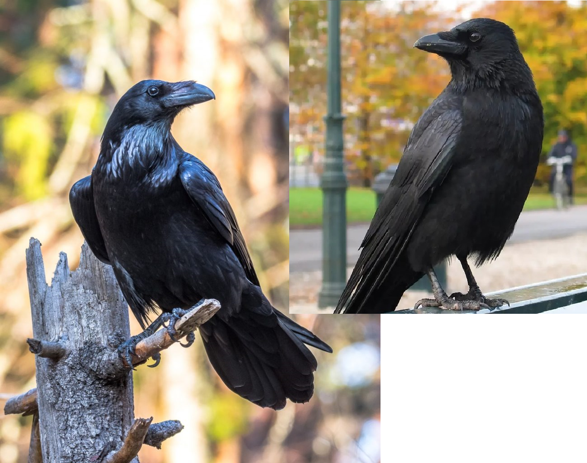 #крутойпапа #мужскиеэмоции #отецисын #современныйотец #осознанноеродительство