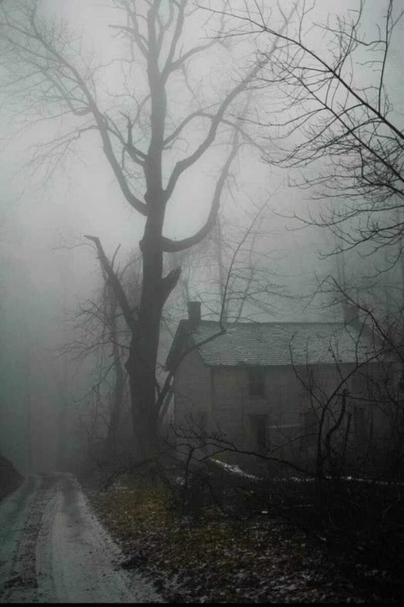 Изображение взято из открытых источников интернета. 