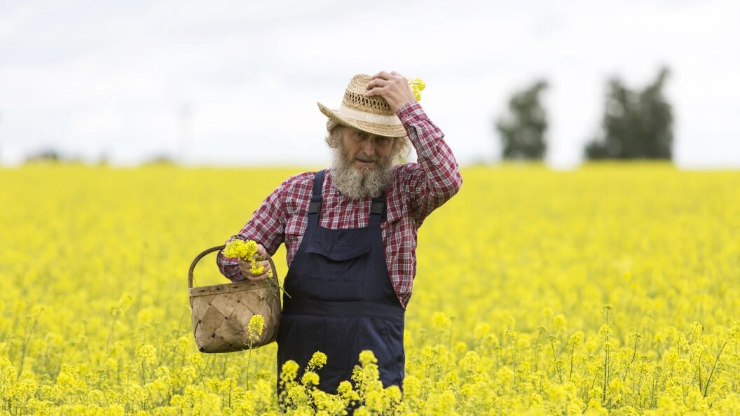    Фото: Nikolay Gyngazov/Globallookpress