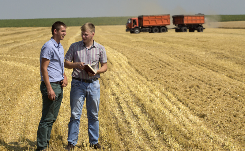    Фото: Nikolay Gyngazov/Globallookpress