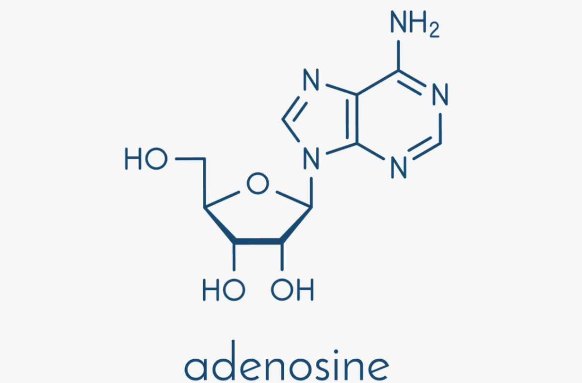 Когда тебя не пускают в свой же дом...