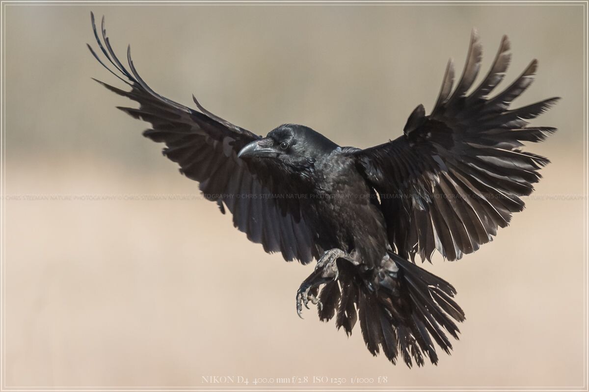 #мужскаяпсихология #одиночество #мужчинычувствуют #осознанность #жизньбезмасок