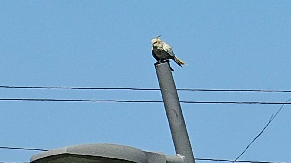     Источник: vlnews25