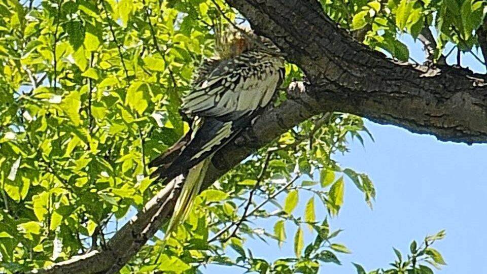     Источник: vlnews25