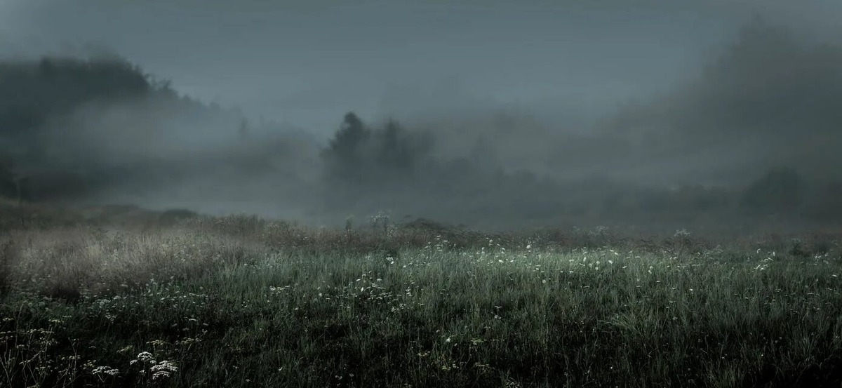 Изображение взято из открытых источников интернета. 