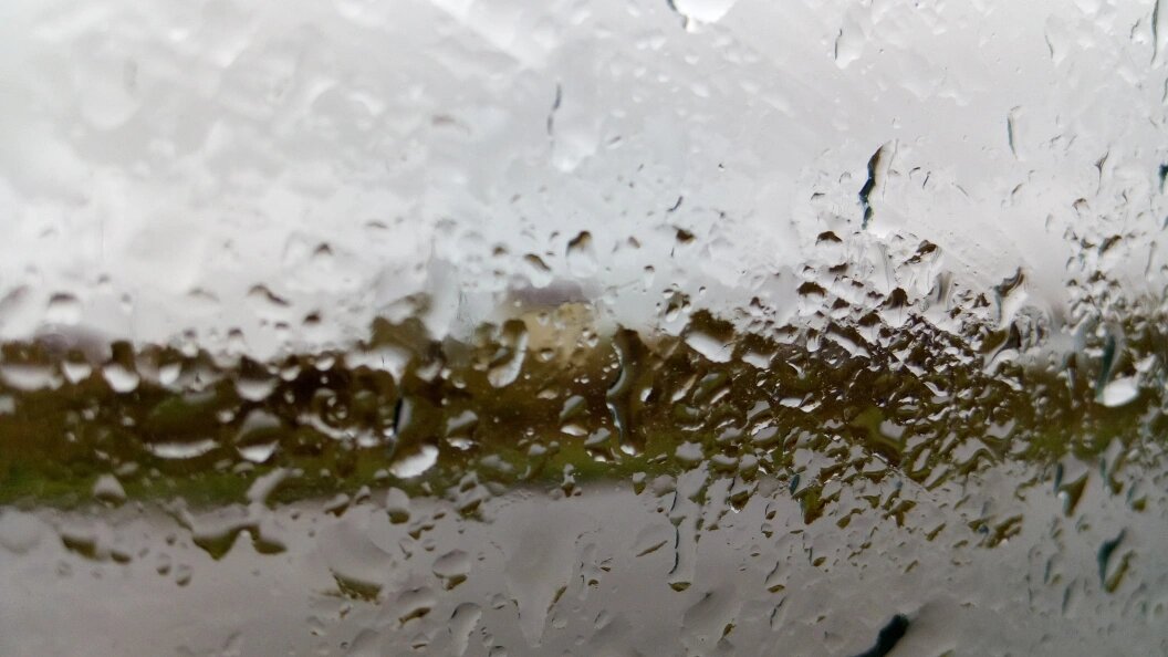    Фото: Царьград Новосибирск