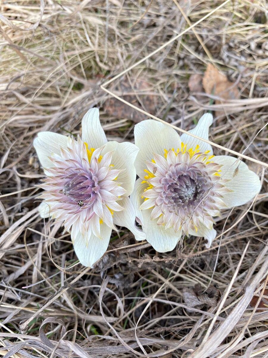 Фото: телеграм-канал газеты “Ньурба"