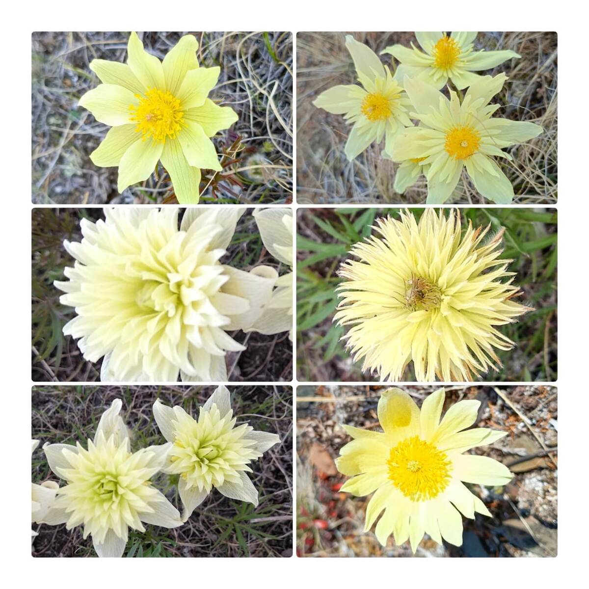 Фото: соцсети