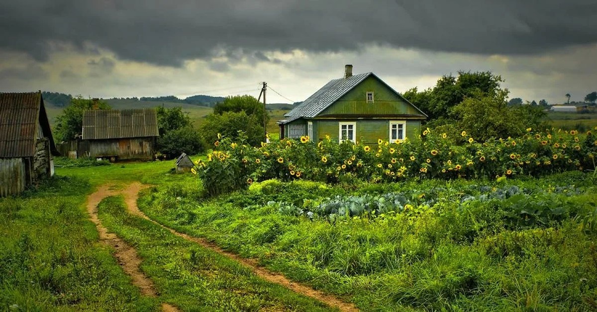 Яндекс. Картинки. 