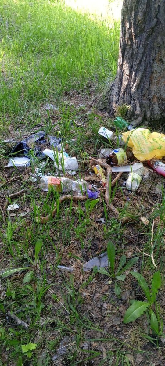    Мусор в лесу на Южном . Источник: t.me/vkurse22