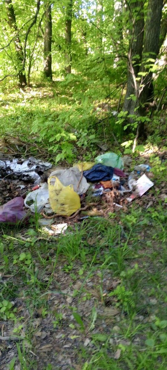    Мусор в лесу на Южном . Источник: t.me/vkurse22