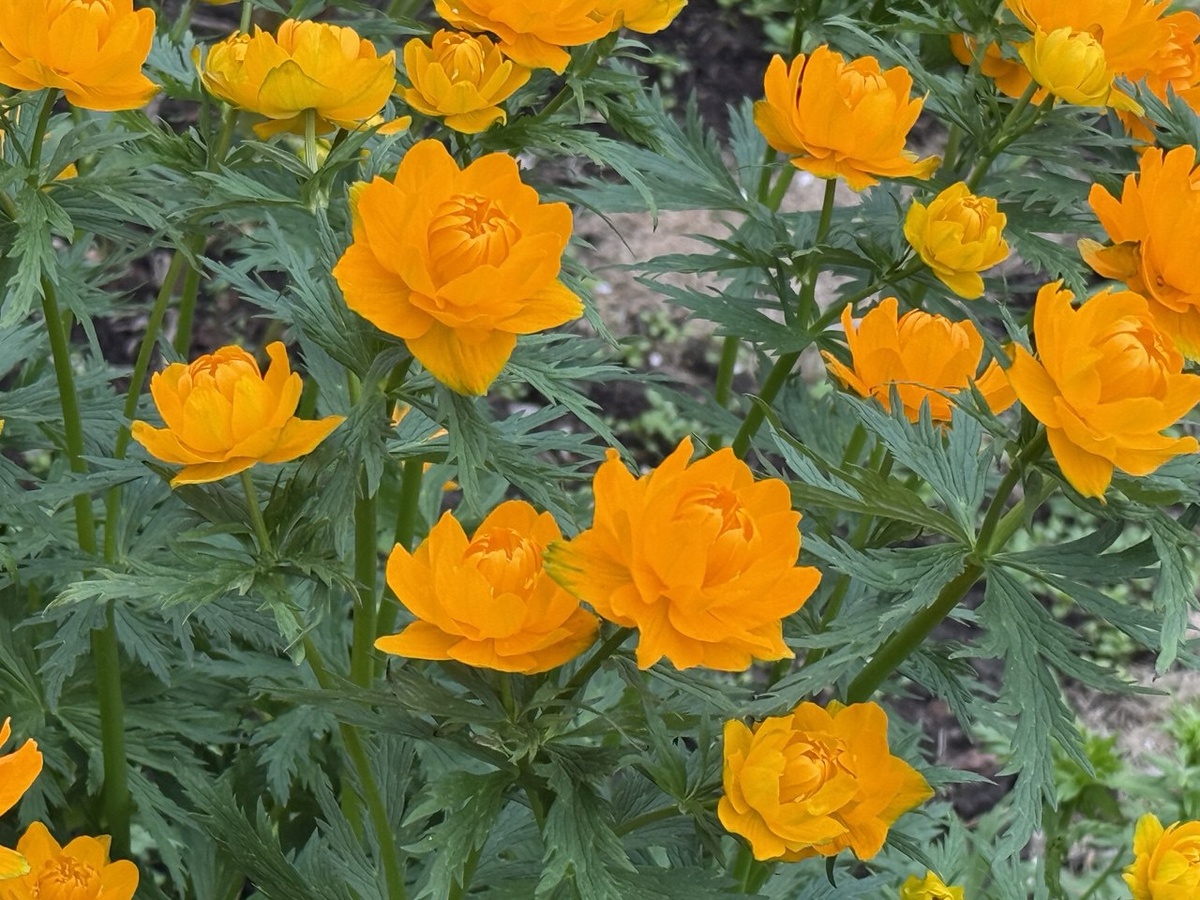 Фото автора канала Дом с кипарисами