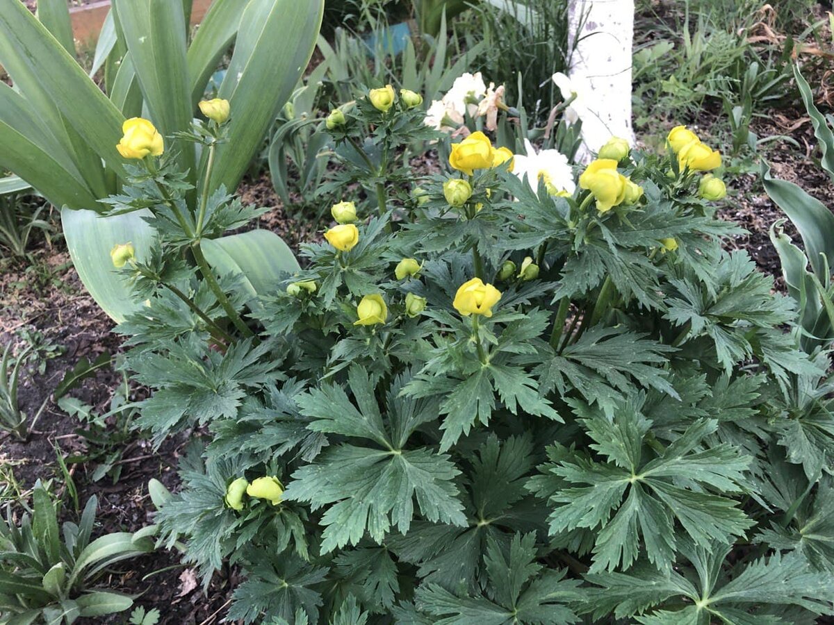 Фото автора канала Дом с кипарисами