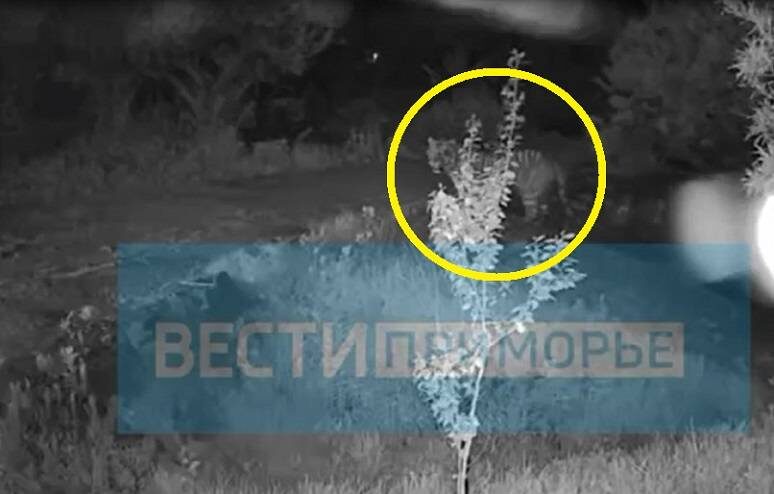    Источник фото: